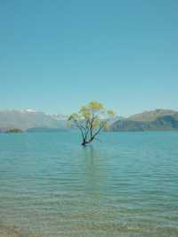 Quick Guide to Activities That I did in New Zealand