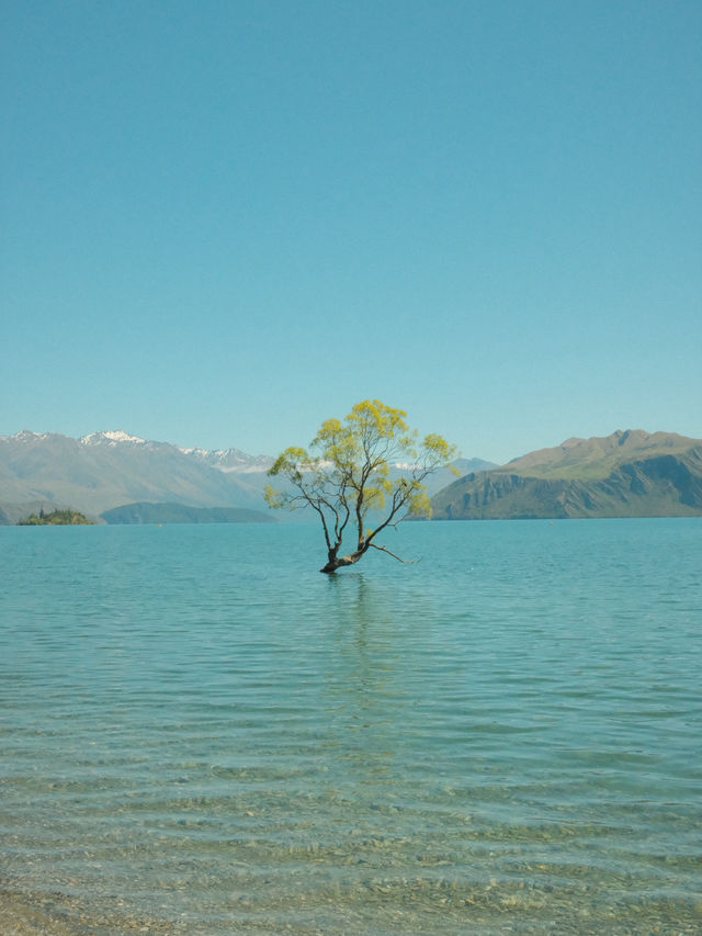 Quick Guide to Activities That I did in New Zealand