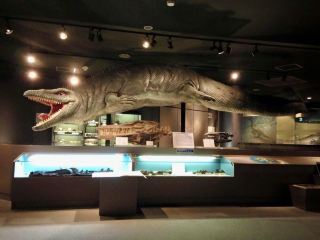 🦖 호베츠 박물관 - 지구 위를 걷다, 공룡의 발자국