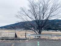 Drive Yamagata Way (winter edition)✨