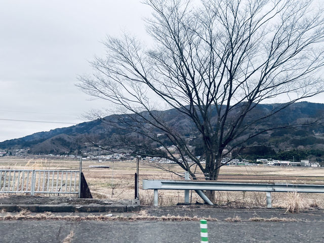 Drive Yamagata Way (winter edition)✨