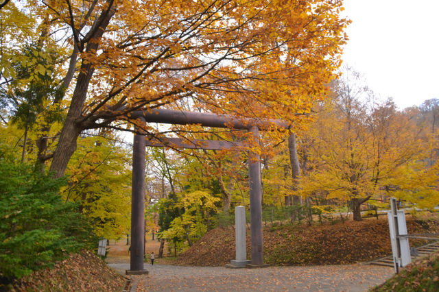Hokkaido Shrine & Maruyama Park – The Spiritual Heart of Sapporo 🍁⛩️🌸