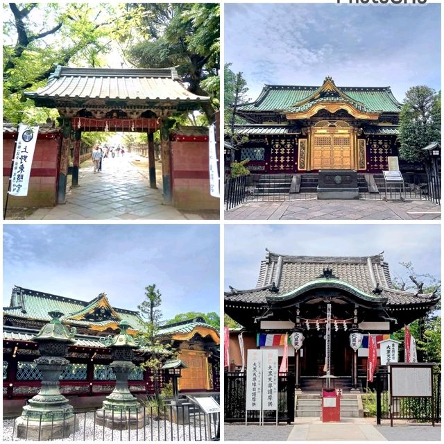 Ueno Park🌳 Ueno Park🌳