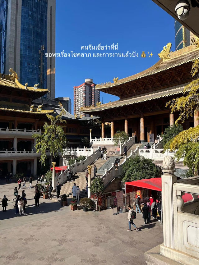 สายมูต้องมา! 🏮✨