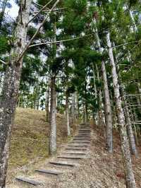 🌲 Taman Saujana Hijau – A Green Escape for Walks, Jogs & Fresh Air 🌿