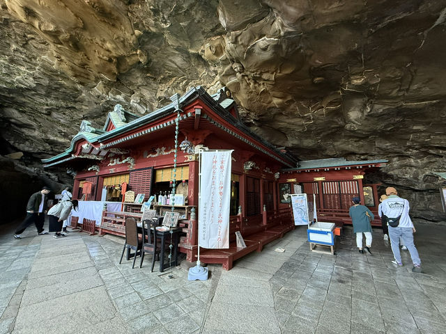近距離欣賞日南太陽花園🏙️  