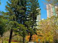 Tsing Yi Park