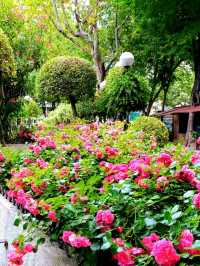 最Chill散步地雕像與咖啡館打卡人文之選☕