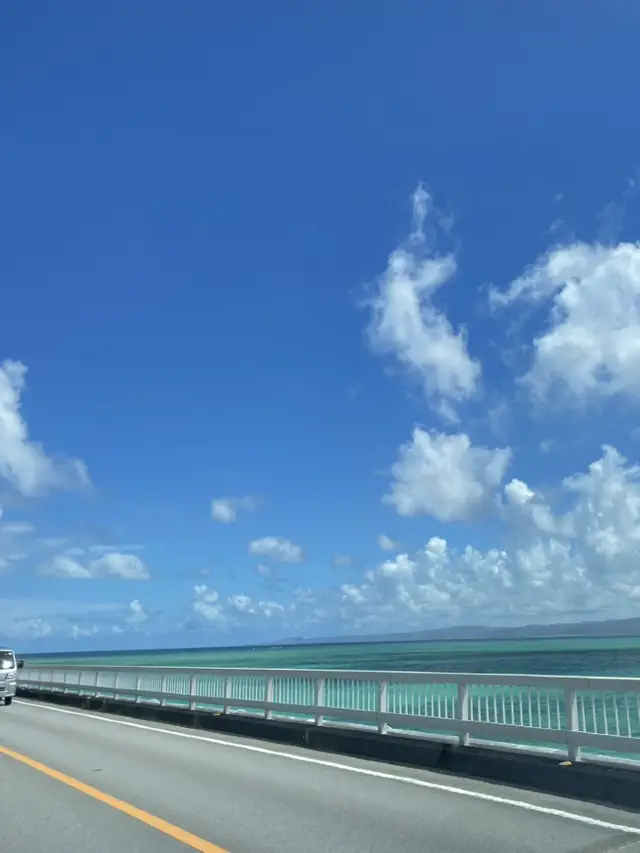 美麗海水族館 沖繩必訪
