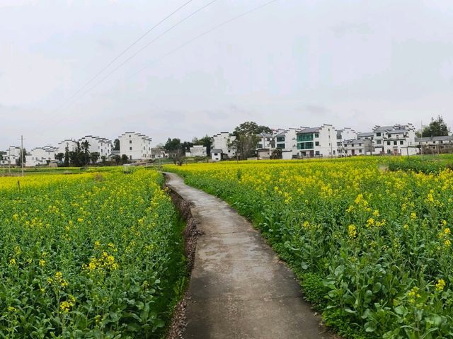 Yueliangwan Scenic Area Yueliangwan Scenic Area