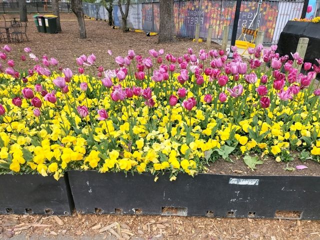 💐Floriade Day Part 1💐