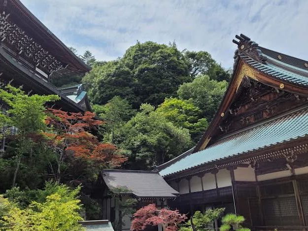 Timeless Miyajima🌊