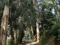 Batumi Botanical Garden