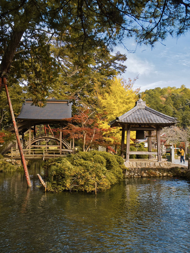 【旅行前に見て】観光攻略付‼️藤の花だけじゃない!💜🍁✨古刹を彩る美しい紅葉の庭園を楽しむ静寂の旅へ🙏 【旅行前に見て】観光攻略付‼️藤の花だけじゃない!💜🍁✨古刹を彩る美しい紅葉の庭園を楽しむ静寂の旅へ🙏