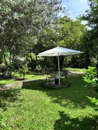 ค่าเฟ่ โฮมเมค คลอง 7 ร้าน Lamai garden 