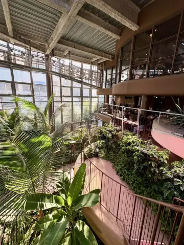 一個位於澀谷中心的綠色避世之地