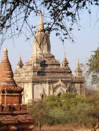 Shwe-gyu-gyi