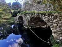 Garden of Ninfa