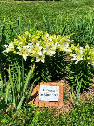 🌿 Mary Jo Wegner Arboretum & East Sioux Falls Historic Site – A Peaceful Blend of Nature and Herita