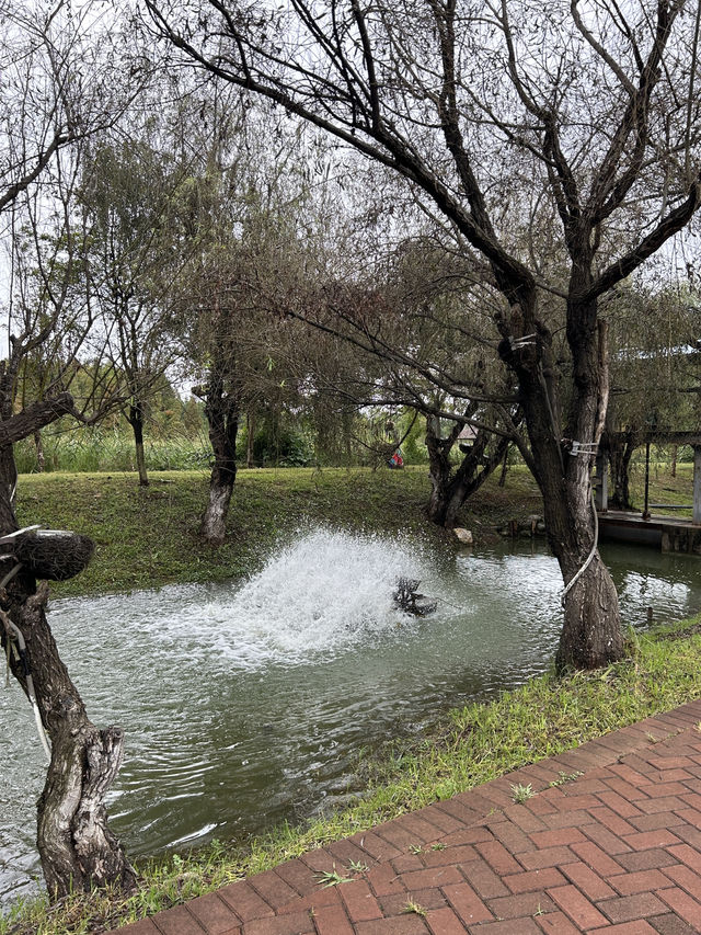 Kunming Wetlands🌧️  