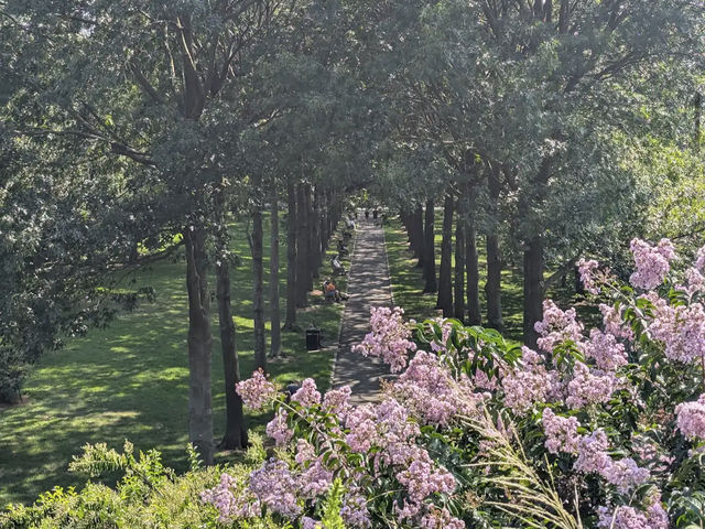 Brooklyn Botanic Garden