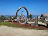 Plose Looping