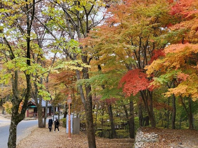 고즈넉한 사찰에서 단풍도 보고 국보도 보는 가을 여행 🧡