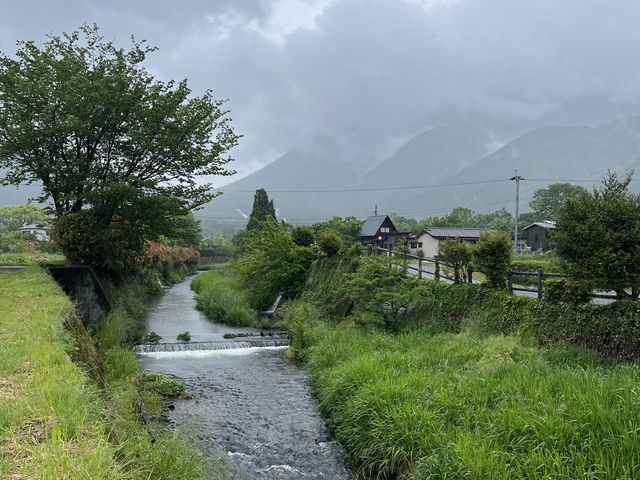 Yufuin Misty Magic🌧️