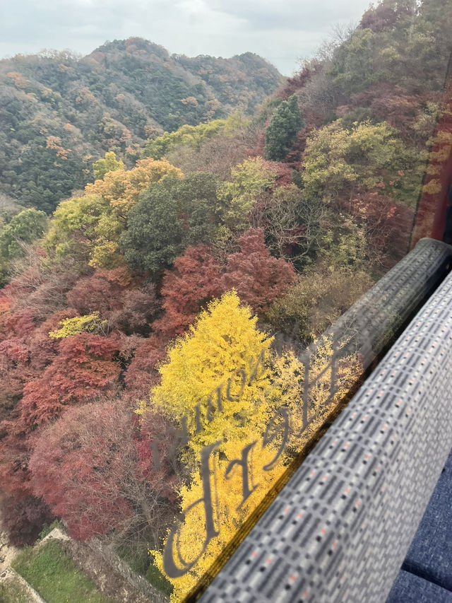 ［兵庫/神戸］紅葉×クリスマスマーケット🎄
