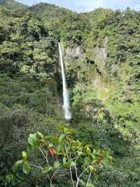 A Hidden Jungle Gem at the End of an Adventurous Trail