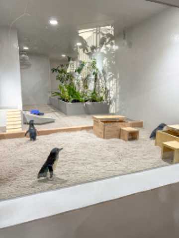 아기랑 삿포로여행에서 꼭 가봐야하는 가이드추천코스🐧