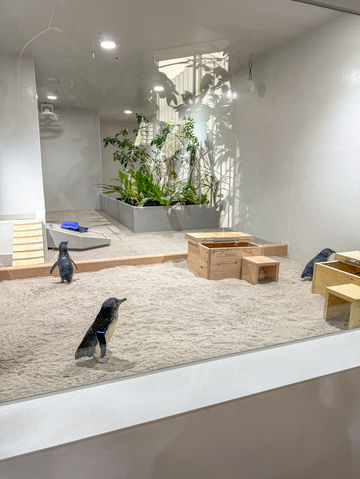 아기랑 삿포로여행에서 꼭 가봐야하는 가이드추천코스🐧 아기랑 삿포로여행에서 꼭 가봐야하는 가이드추천코스🐧