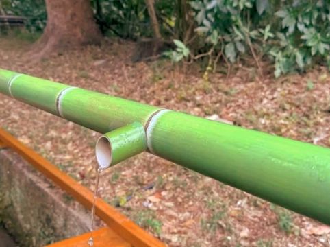 A Peaceful Escape in the Heart of Tokyo — Meiji Jingu Shrine