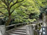 🌸大阪3日間の小旅行🌸