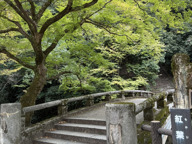 🌸大阪3日間の小旅行🌸