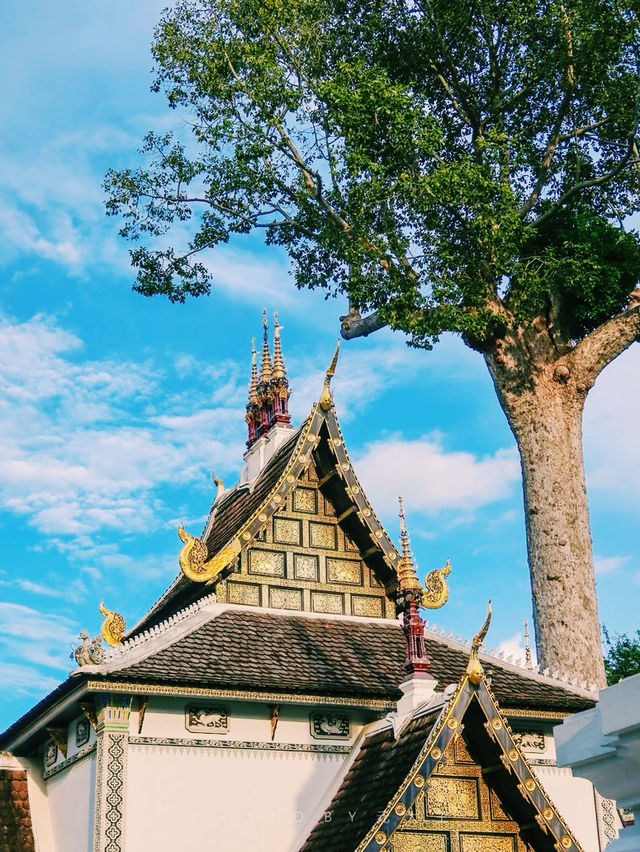 泰國🇹🇭清邁古城