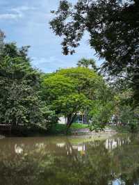 The Roza Caravan Cafe in Siem Reap