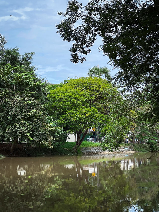 The Roza Caravan Cafe in Siem Reap The Roza Caravan Cafe in Siem Reap
