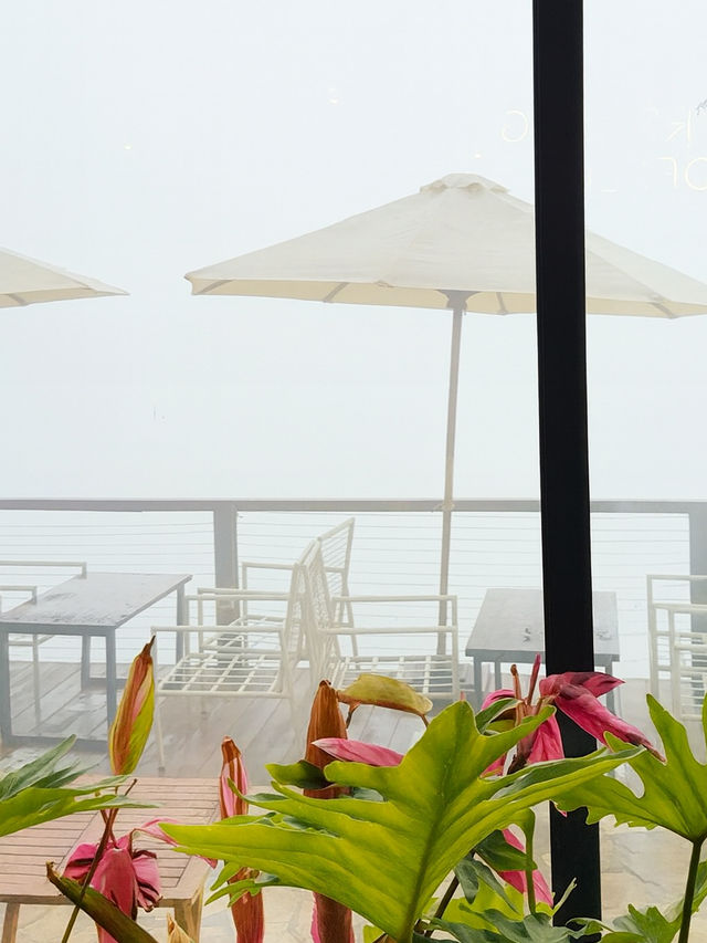 ⭐ รีวิวคาเฟ่ Viettrekking – ซาปา ⭐ รีวิวคาเฟ่ Viettrekking – ซาปา