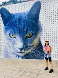 《中環大館・漫步古蹟與藝術之間的午後》