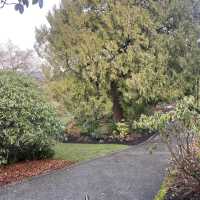 Queen Elizabeth Park