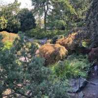 Queen Elizabeth Park