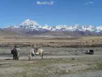 ทิวทัศน์ของภูเขาหิมะยาล่า (Yala Snow Mountain)