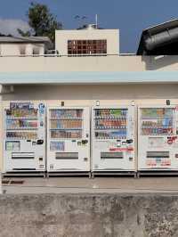 겨울에도 여름처럼! 오키나와 감성여행기