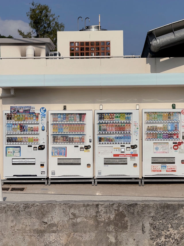 겨울에도 여름처럼! 오키나와 감성여행기