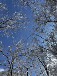 🇰🇷3도의 경계에 위치한 겨울 명산 민주지산 트래킹 코스