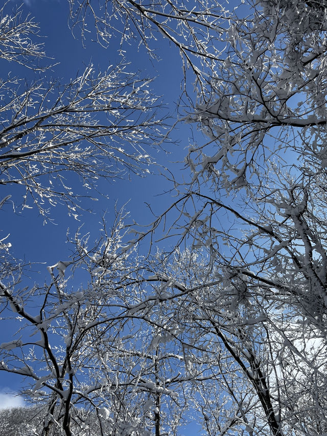 🇰🇷3도의 경계에 위치한 겨울 명산 민주지산 트래킹 코스 🇰🇷3도의 경계에 위치한 겨울 명산 민주지산 트래킹 코스