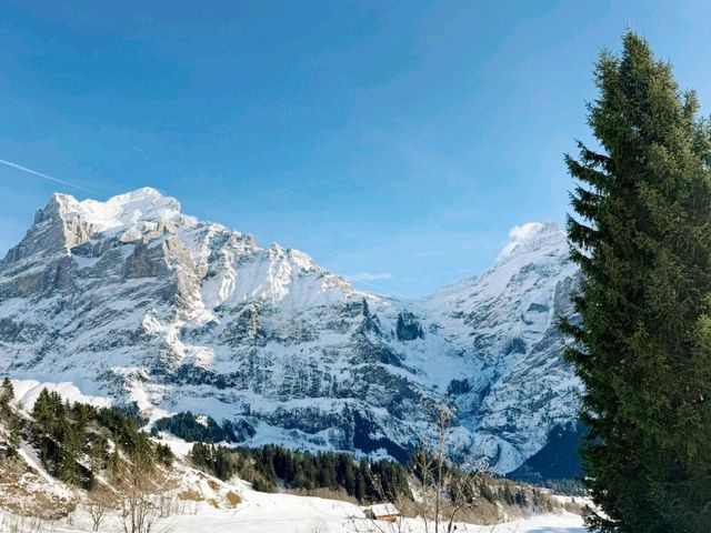Lauberhorn race track