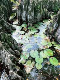 “Rock Garden Bau – A Scenic Limestone Escape”