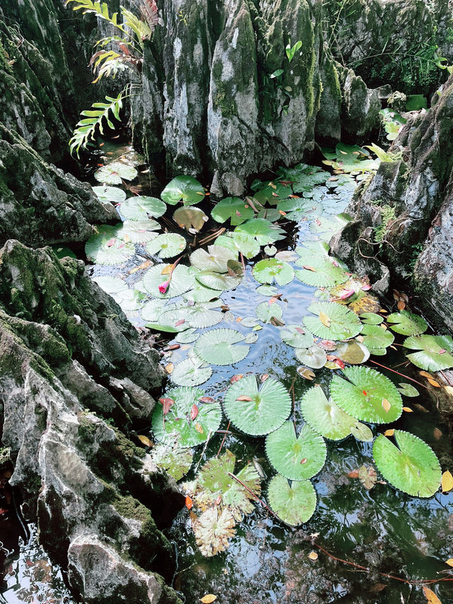“Rock Garden Bau – A Scenic Limestone Escape” “Rock Garden Bau – A Scenic Limestone Escape”